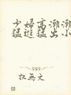 少妇高潮潮喷到猛进猛出小说