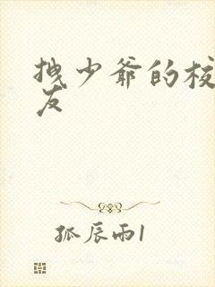 拽少爷的校花女友