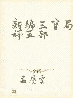 新编三宝局长许婷五部