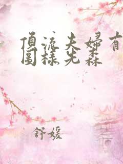 顶流夫妇有点甜图样先森