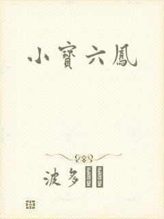 小宝六凤