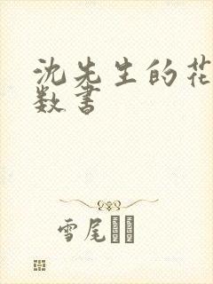 沈先生的花式调数书