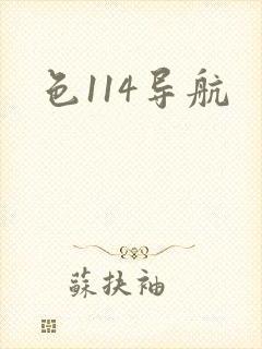 色114导航