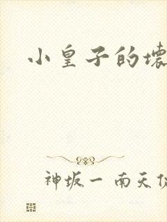 小皇子的坏王妃