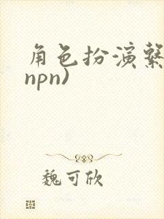 角色扮演系统(npn)