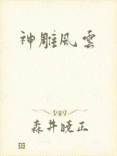 神雕风云