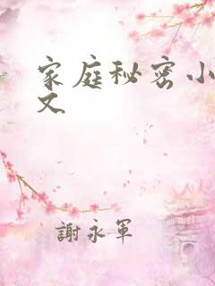 家庭秘密小说全文