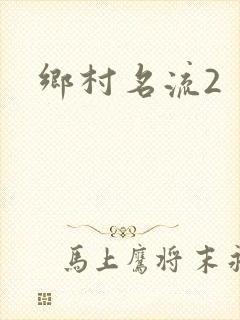 乡村名流2
