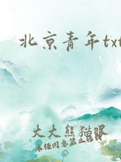 北京青年txt