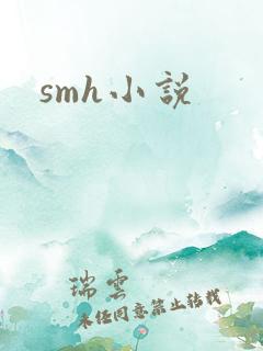 smh小说
