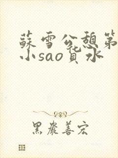苏雪公憩第一章小sao货水