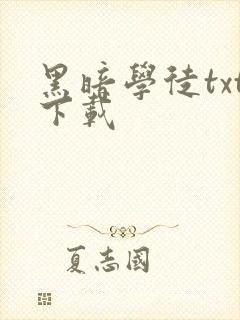 黑暗学徒txt下载