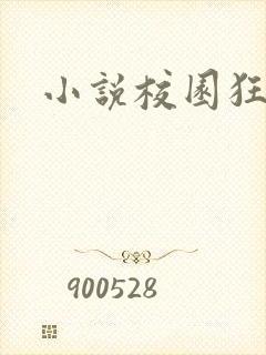 小说校园狂少