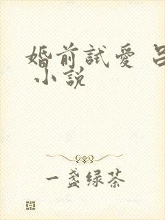 婚前试爱 吕颜 小说