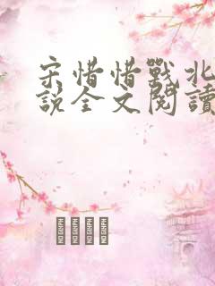 宋惜惜战北望小说全文阅读