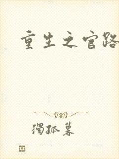 重生之官路风流