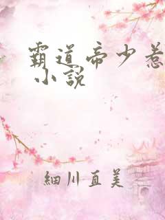 霸道帝少惹不得 小说