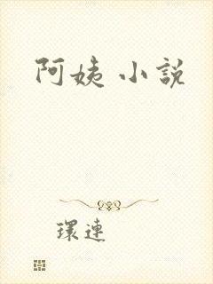 阿姨 小说