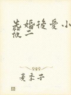 先婚后爱小说梦筱二