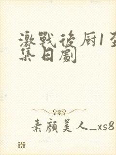 激战后厨1至5集日剧