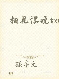 相见恨晚txt