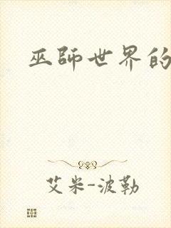 巫师世界的法师