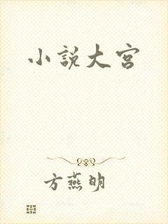 小说大宫