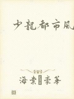 少龙都市风流行