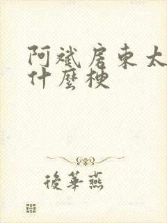 阿斌房东太太是什么梗