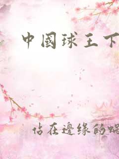 中国球王下载