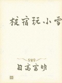 校宿玩小雪
