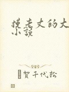 摸老丈的大牛子小说