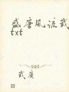 盛唐风流武状元txt