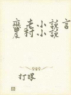 恋老小说言情网农村小说