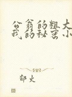 公翁的粗大放进我的秘密小说