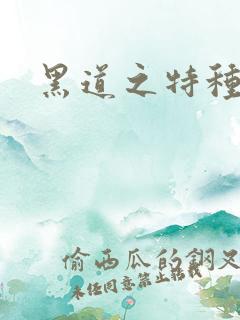 黑道之特种兵王