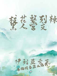 校花系列辣h文黑人宫交