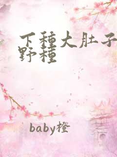 下种大肚子怀孕野种