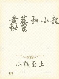 黄蓉和小龙女的秘密