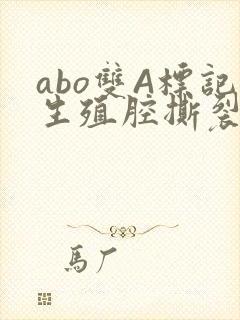 abo双A标记生殖腔撕裂