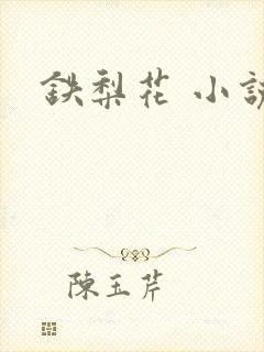 铁梨花 小说