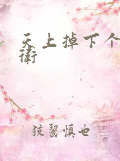 天上掉下个影卫卫