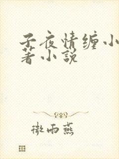 子夜情缠小说原著小说