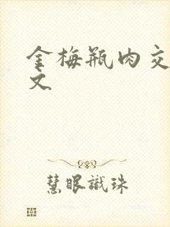 金梅瓶肉交白话文