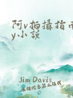 阿v拍摄指南by小说