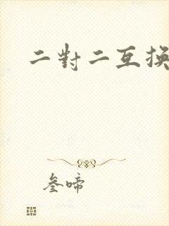 二对二互换共享