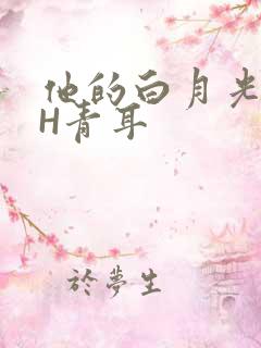 他的白月光HVH青耳