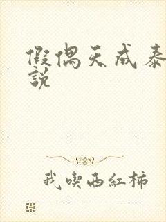 假偶天成泰国小说