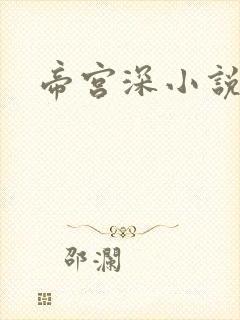 帝宫深小说