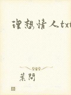 理想情人txt
